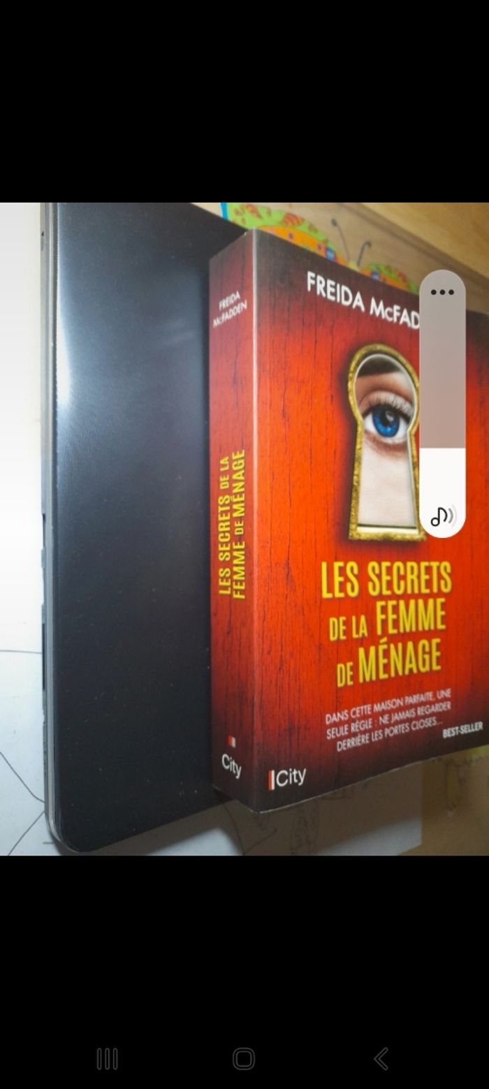 Les secrets de la femme de ménage - photo numéro 2