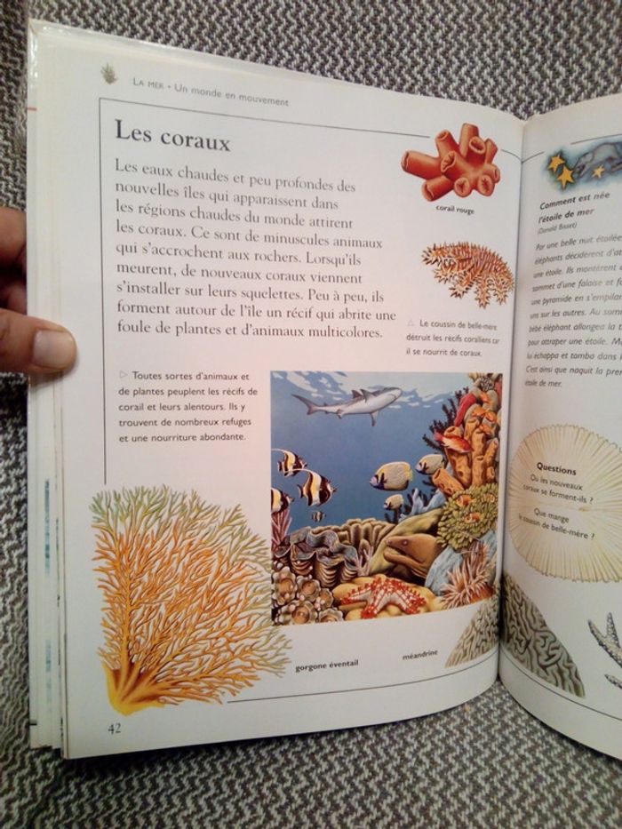 La Mer - Ma première encyclopédie - Ed. Nathan (pour France Loisirs) - photo numéro 15