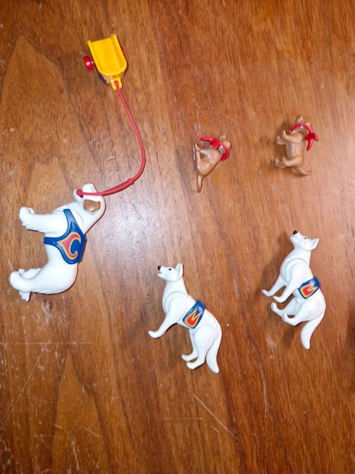 Chiens savants cirque playmobil - photo numéro 5