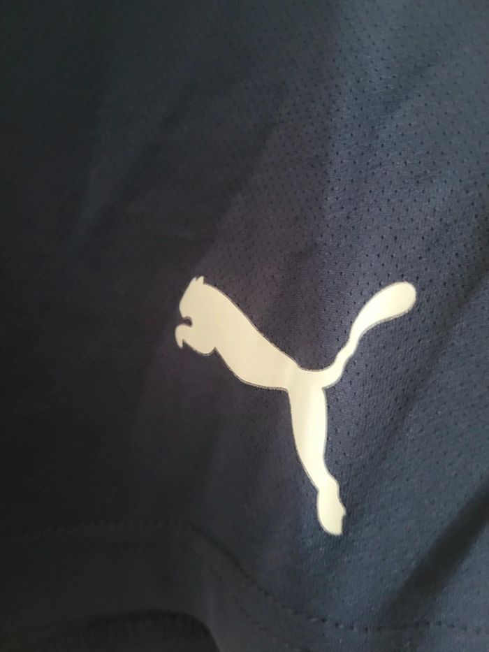 Short puma - photo numéro 2