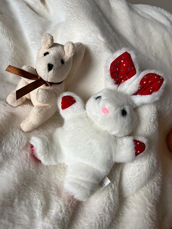 Peluche