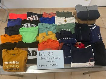 Lot pulls/sweats/vestes 12 ans