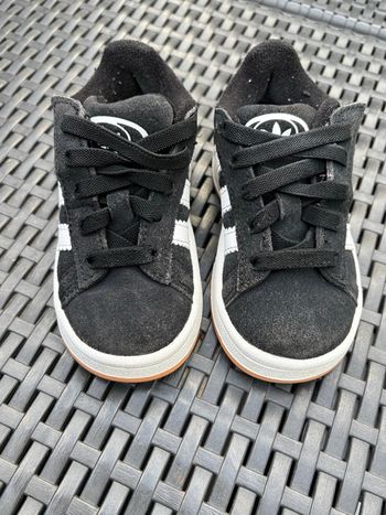 Campus adidas taille 24 