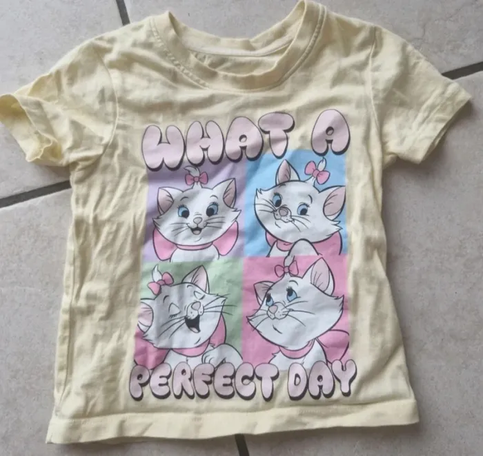 Tee shirt 18 mois marie disney