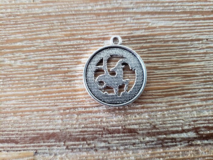 Pendentif argenté Capricorne - photo numéro 2