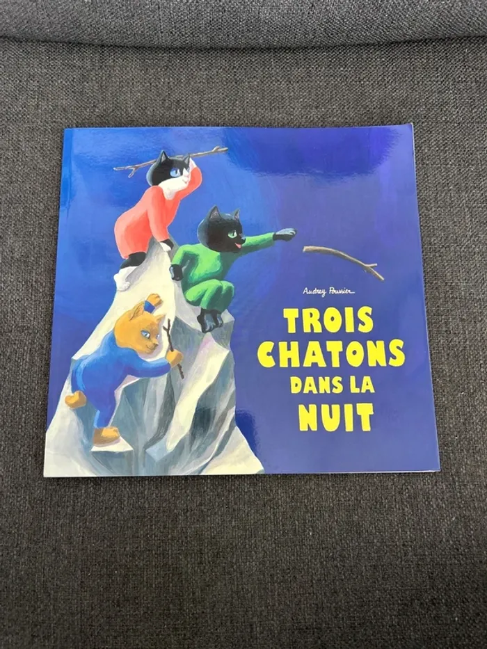 Livre trois chaton dans la nuit de Audrey Poussier
