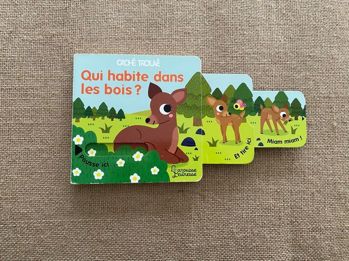 Livre Qui habite dans les bois ? Caché Trouvé Larousse Jeunesse - photo numéro 2