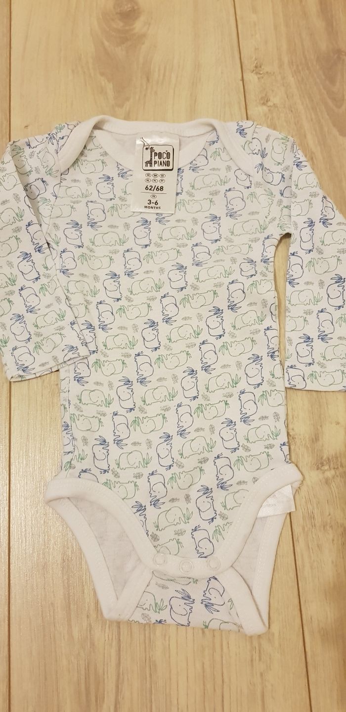 Body - photo numéro 5