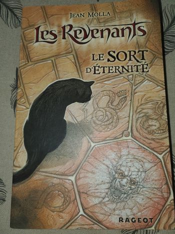 Livre les revenants 