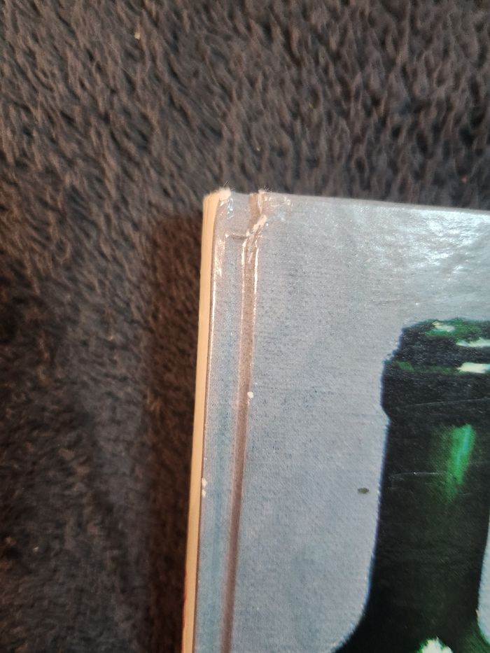 Livre le vin à la maison Louis plessis flamarion - photo numéro 6