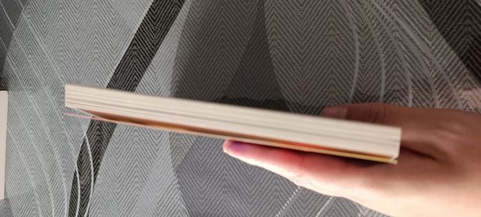 Livre chair de poule - photo numéro 4