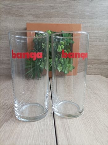 Lot 2 verres Banga 