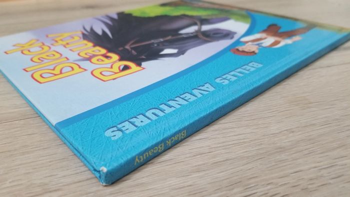 Livre Black Beauty - photo numéro 3