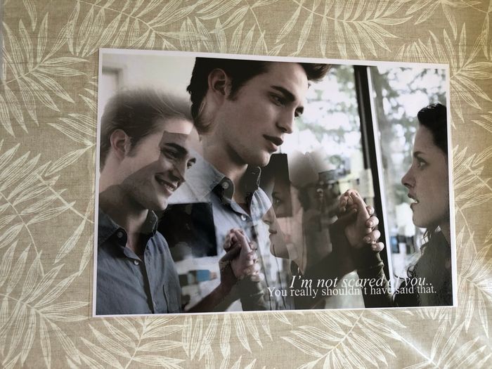 Affiches twilight - photo numéro 6