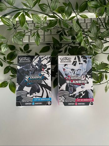 Bundles ev10.5