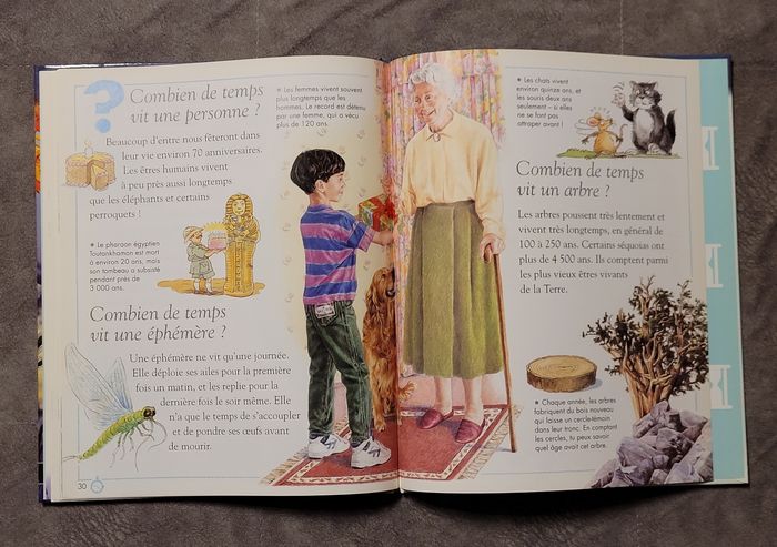 Le temps et les saisons Brenda Walpole, Céline Lamartinie (Traduction) - photo numéro 5