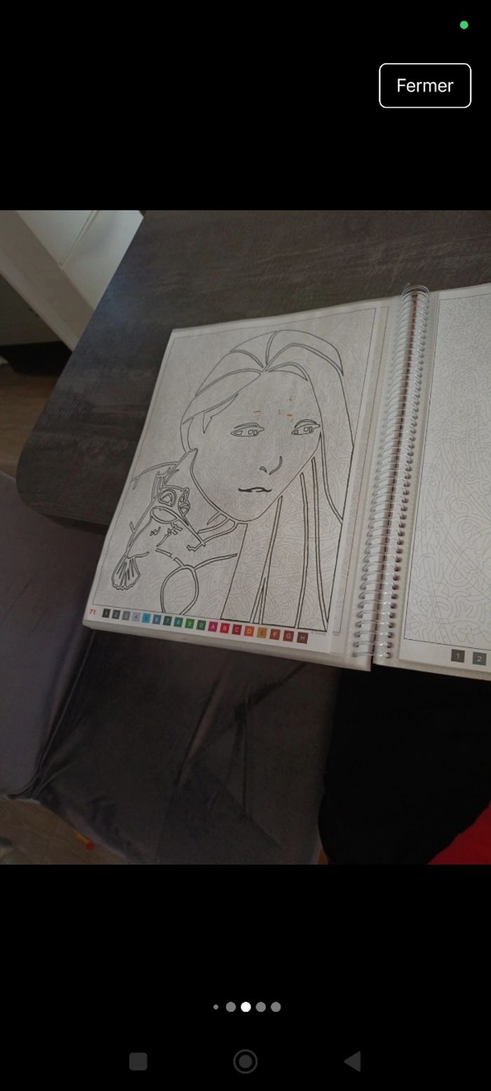 Coloriage mystère tome 4 - photo numéro 8