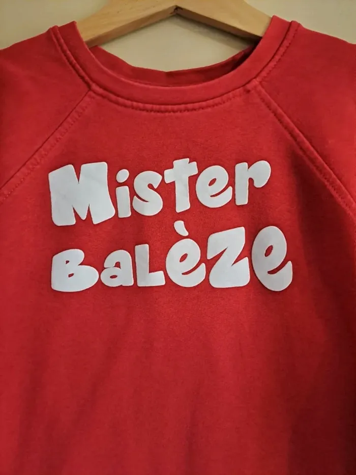 Sweat garçon 5 ans tbe influx rouge - photo numéro 2
