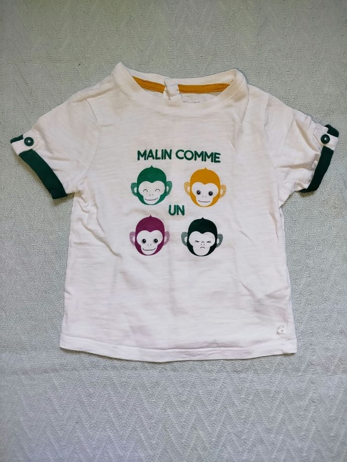 Ensemble singe - photo numéro 3