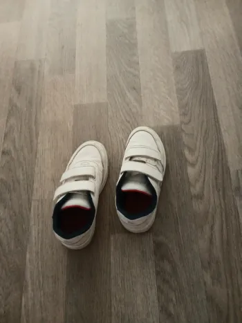 Chaussures lacoste authentique
