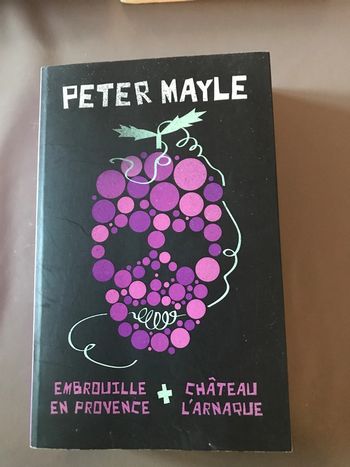Livre Embrouille en Provence et château l’arnaque