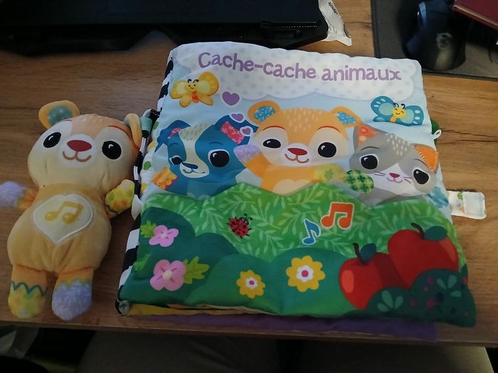 GRAND LIVRE TOUDOUX DES DECOUVERTES VTECH