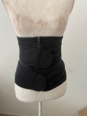 ceinture dorsale