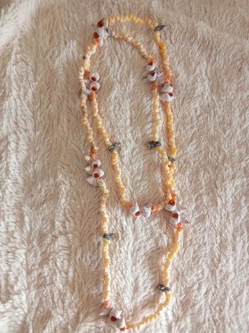 Long collier de coquillages