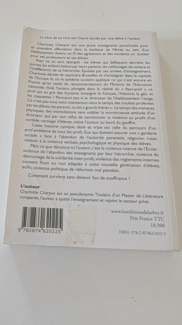 Madame vous êtes une prof de merde - photo numéro 2
