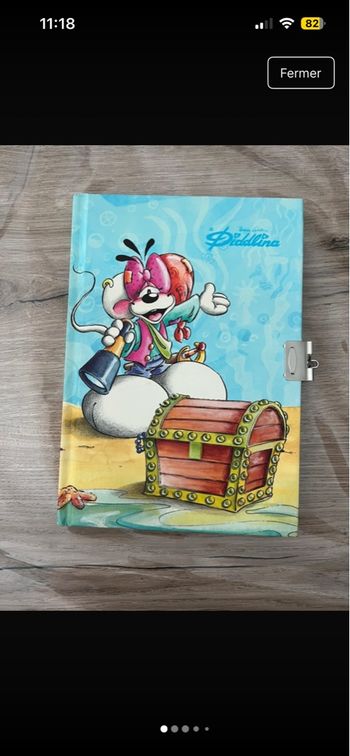 Carnet secret Diddl