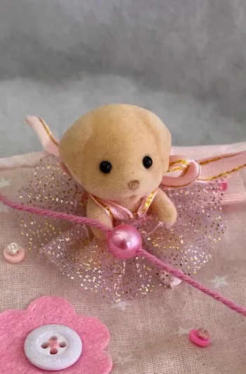 Bébé chien labrador tutu danse tapis d’éveil, cadeau Noël calendrier de l’Avent