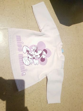 Pull rose minnie
