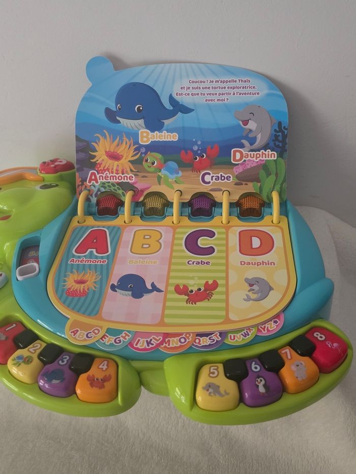 Thaïs la tortue exploratrice. - photo numéro 4