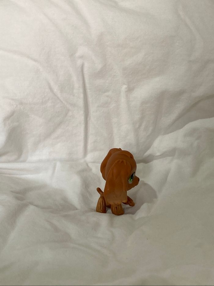 lps cocker - photo numéro 4