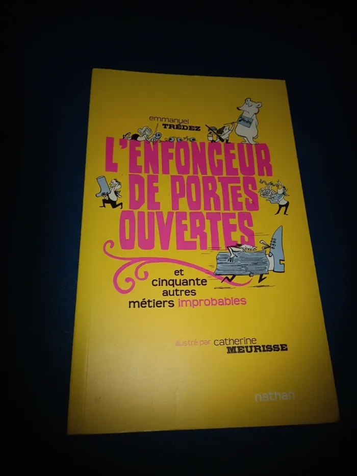 Livre l'enfonceur de porte ouvertes
