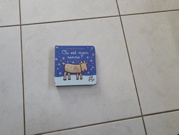 Livre où est mon renne? V12