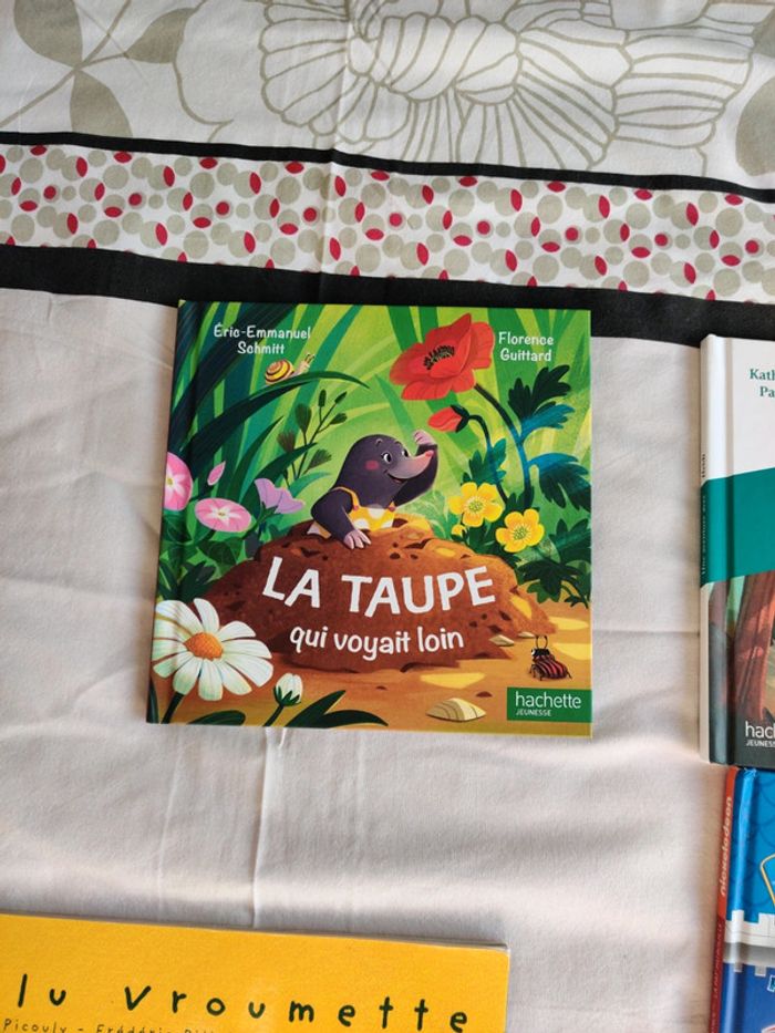 Livres - photo numéro 7