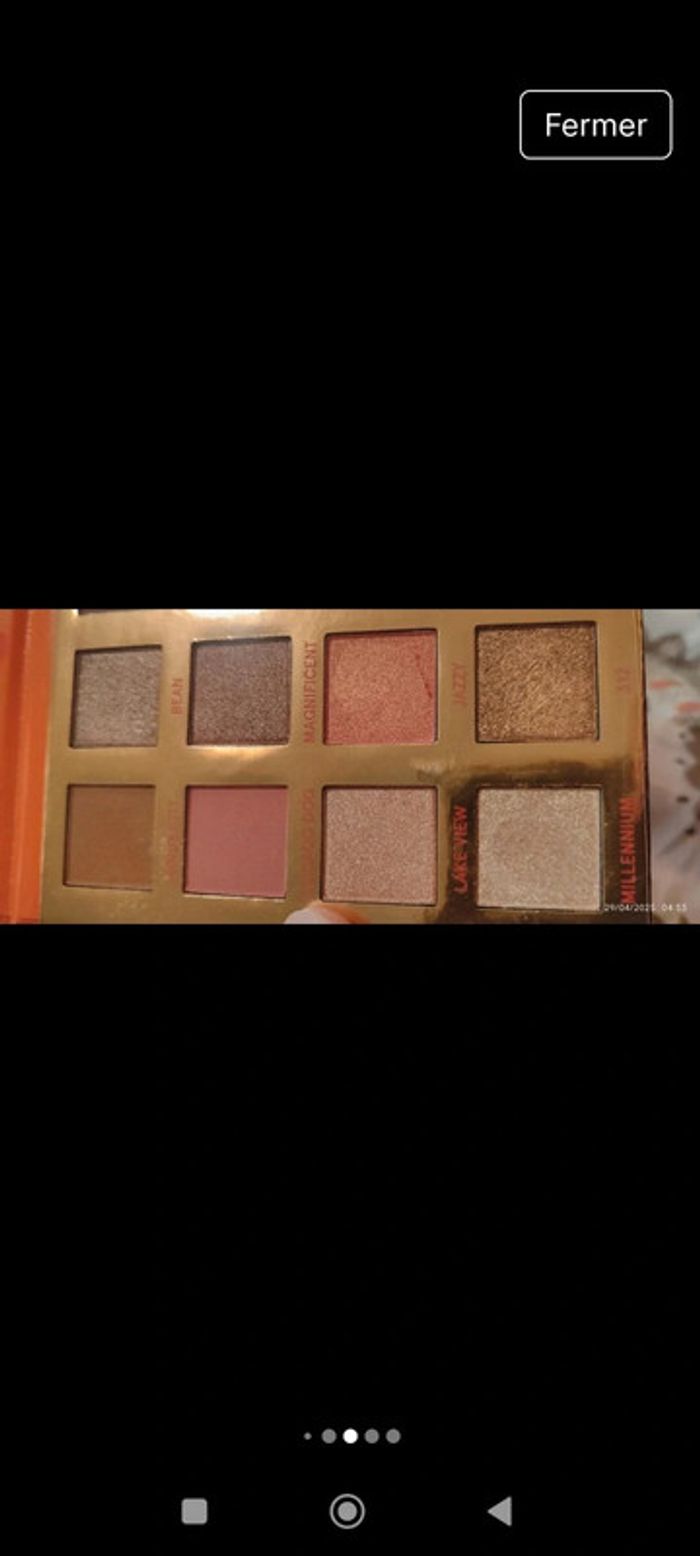 BH Cosmetics Chill In Chicago Eyeshadow Palette - photo numéro 6