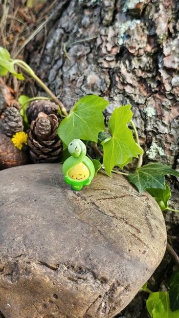 Super figurine Pokemon Nintendo Rozbouton