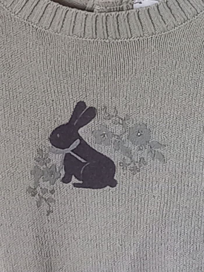 Robe pull - photo numéro 2