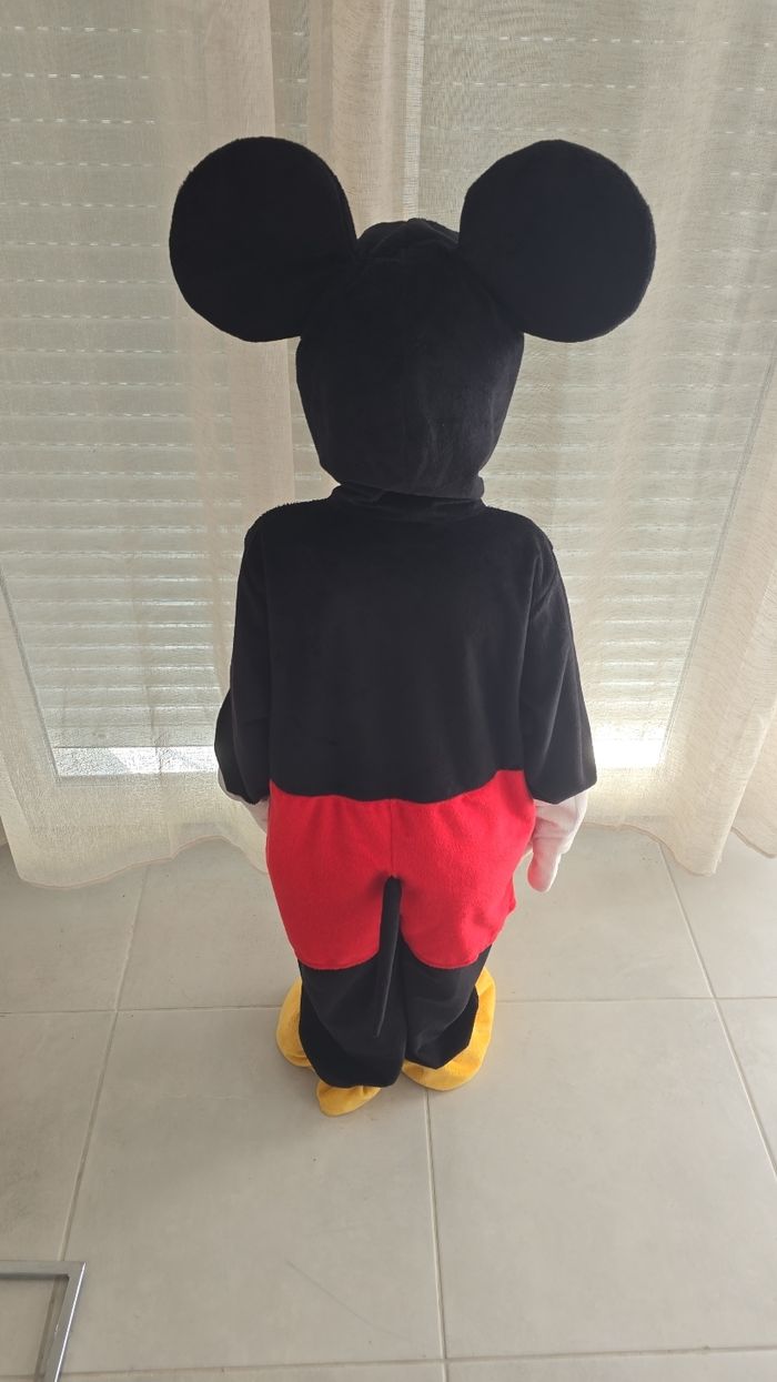 Mickey disney - photo numéro 2