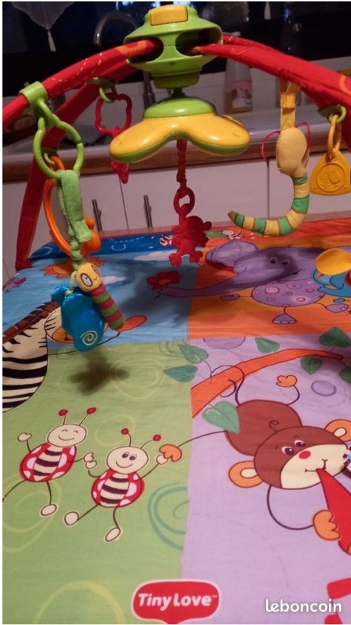 Tapis d'éveil Tiny Love - photo numéro 2