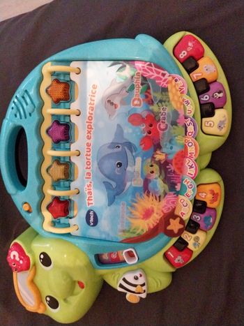 Thais la tortue exploratrice 