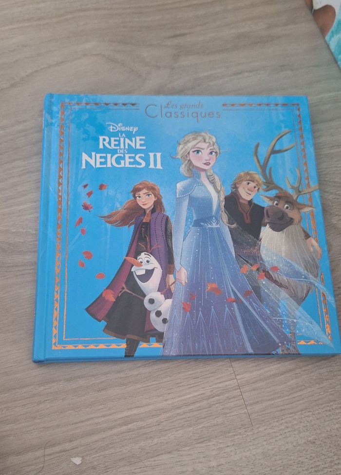 Livre reine des neiges 2