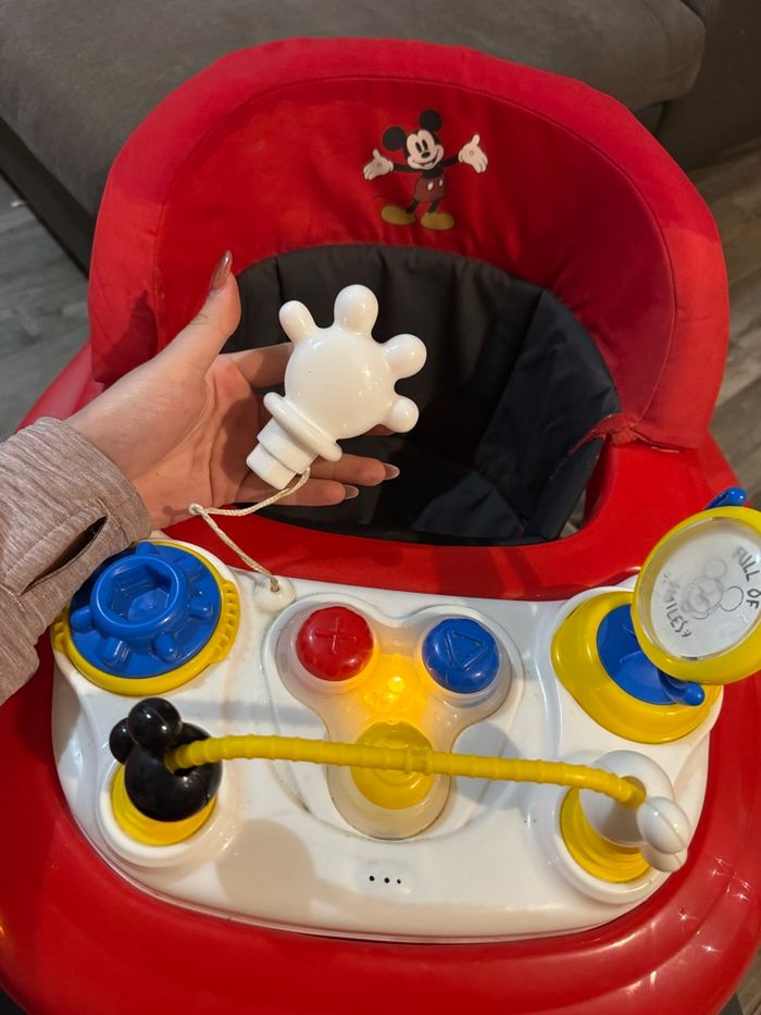 Trotteur - photo numéro 2