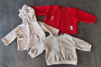 Vestes et pull