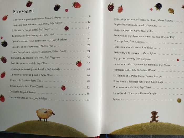 Livre enfant histoire d'ours - photo numéro 5