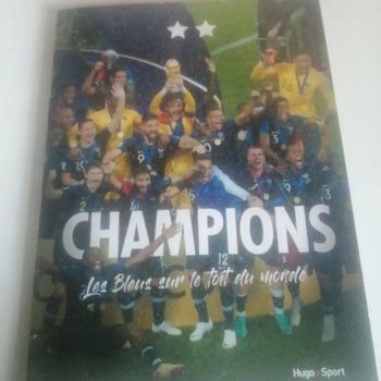 🌸Album foot 2010 "Collection officielle Ligue 1 et ligue 2"🌸