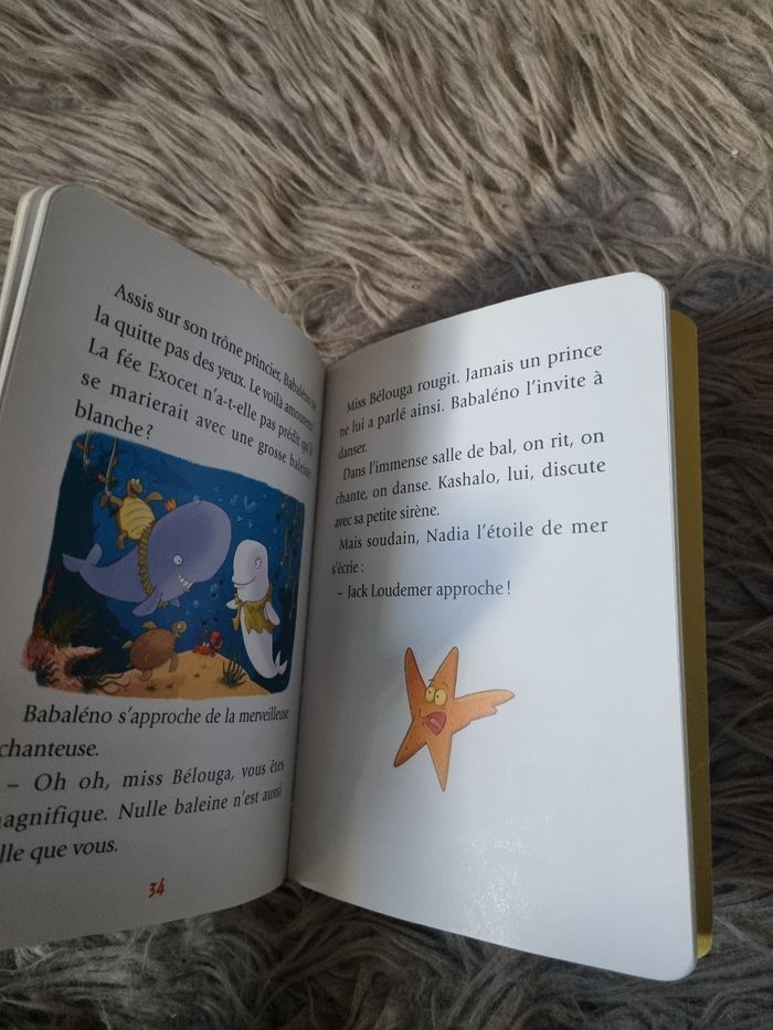 Roman enfant "Babaléno et Kashalo à partir de 6ans - photo numéro 6