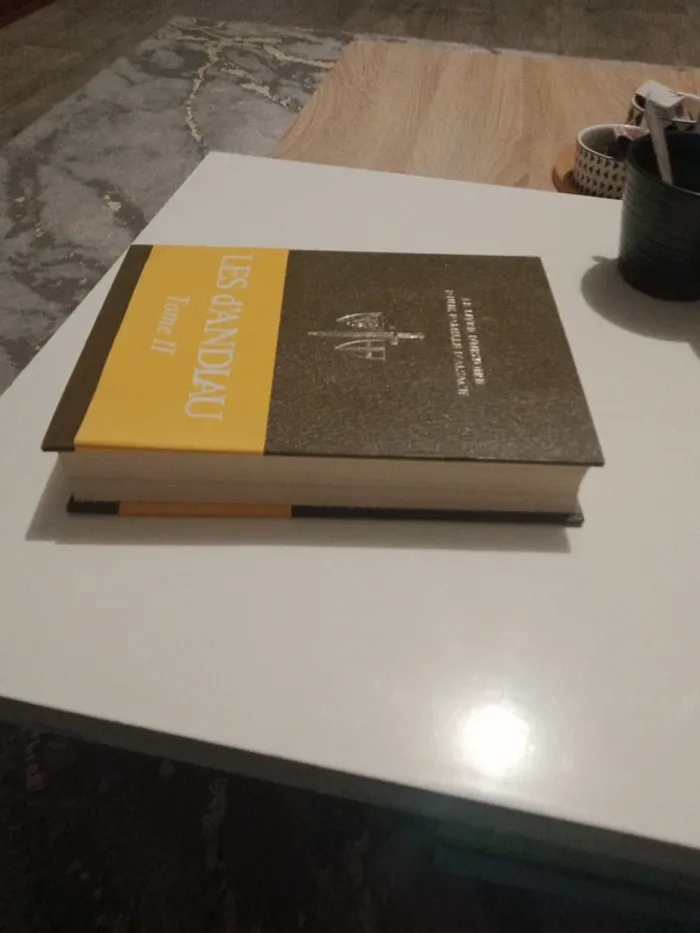 Le livre d'histoire d'une famille d'Alsace-Huber  d'Andlau 1976  Tome - photo numéro 5